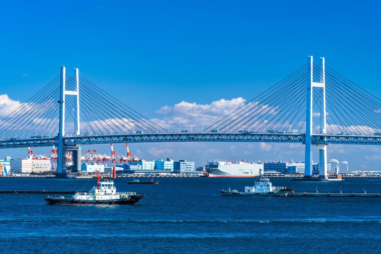 微信图片_2026-10-12_163013_850.jpg