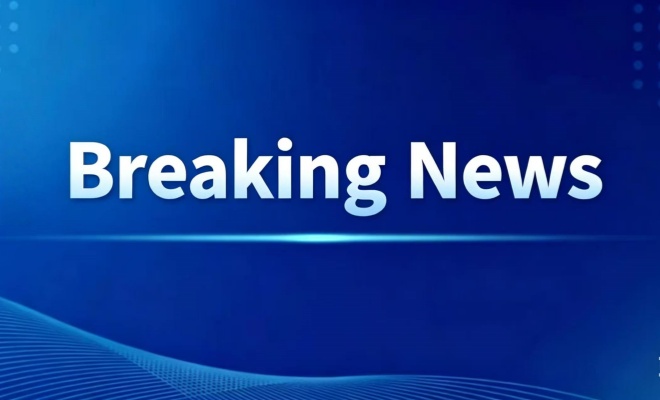 Official Confirmation: Two MSC Container Ships Seized by Iranian Authorities